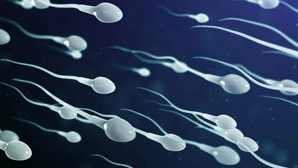 How can I improve my sperm health fast?