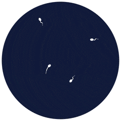 Motilità Image 2