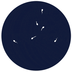 Motilità Image 1